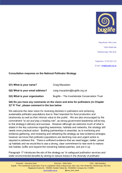 Consultation Response to National Pollinator Strategy