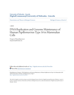 DNA Replication and Genome Maintenance of Human