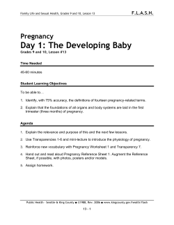 Pregnancy, Day 1: The Developing Baby