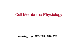Cell Membrane Physiology