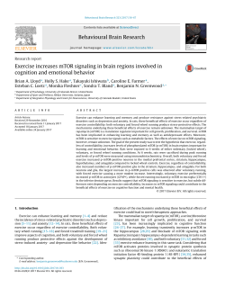 Exercise increases mTOR signaling in brain regions involved in