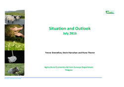 Situation and Outlook