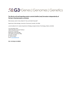 The Wsc1p cell wall signaling protein controls biofilm (mat