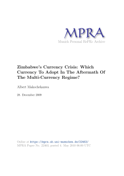 Zimbabwe`s Currency Crisis: Which Currency To Adopt In The