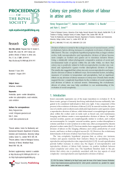 Colony size predicts division of labour in attine ants