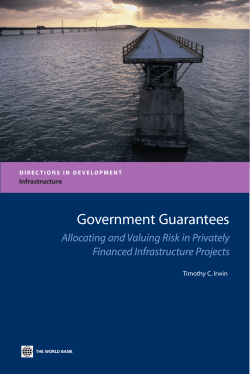 Government Guarantees