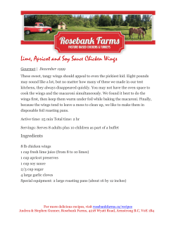 Lime, Apricot and Soy Sauce Chicken Wings