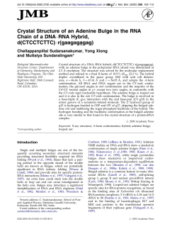 Crystal Structure of an Adenine Bulge in the RNA Chain of a