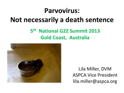 Parvovirus: Not necessarily a death sentence
