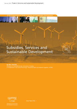 Subsidies, Services and Sustainable Development