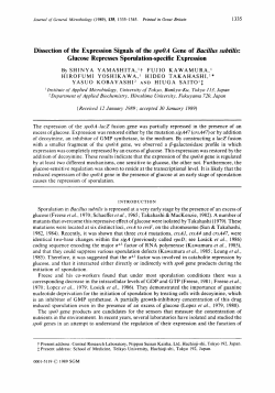 Glucose Represses Sporulation-specific Expression