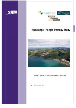 The Ngauranga Triangle Strategy Study: Long List Assessment Report