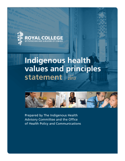 Indigenous health values and principles statement 2013