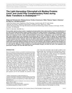 The Light-Harvesting Chlorophyll a/b Binding