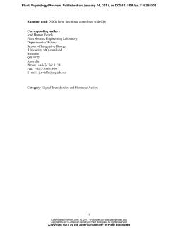 Membrane-Localized Extra-Large G