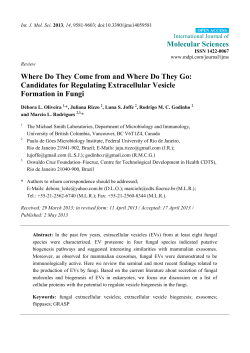 Full-Text PDF