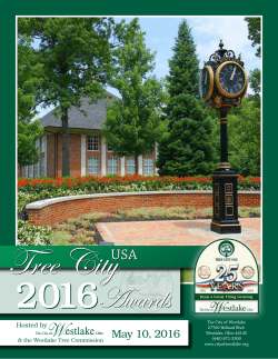 2016 Tree City USA Awards