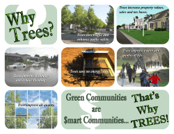 Trees increase property values, sales and tax bases. Trees improve