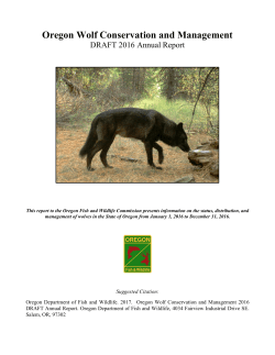 2016 Wolf Annual Report
