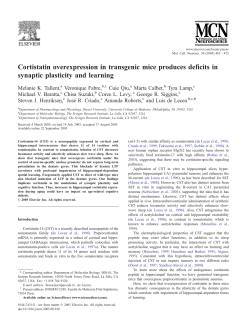 Cortistatin overexpression in transgenic mice