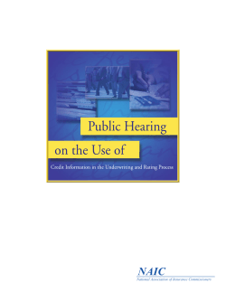 Public Hearing On The Use Of Credit Information In The