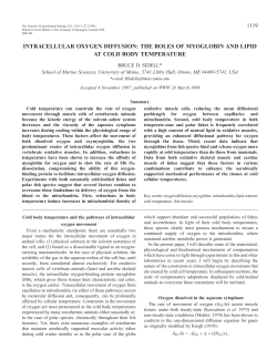 intracellular oxygen diffusion: the roles of myoglobin and lipid at cold