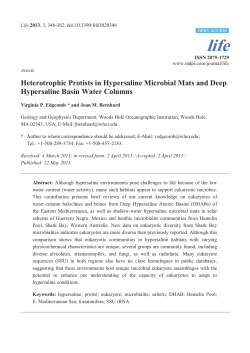Heterotrophic Protists in Hypersaline Microbial Mats and