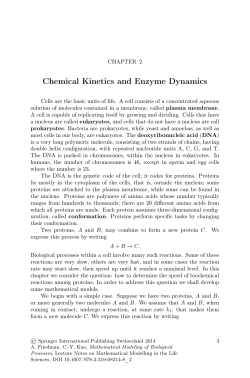 Chemical Kinetics and Enzyme Dynamics