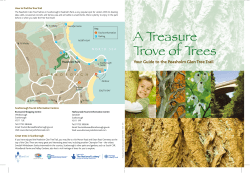 to full colour PDF guide to Peasholm Tree Trail