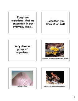 Fungi are organisms that we encounter in our everyday lives