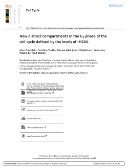 New distinct compartments in the G2 phase of the cell