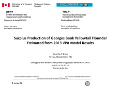 GB YT Surplus Production estimated from 2013 VPA model results