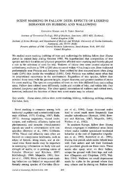 scent marking in fallow deer: effects of lekking behavior on rubbing