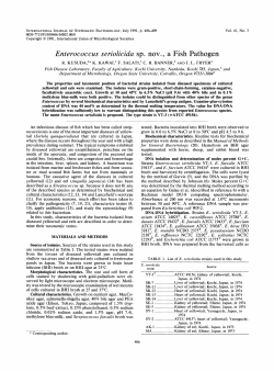 Enterococcus seriolicida sp. nov. a Fish Pathogen