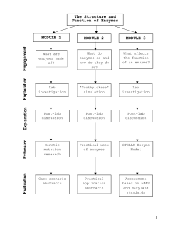 The Structure and Function of Enzymes MODULE 1