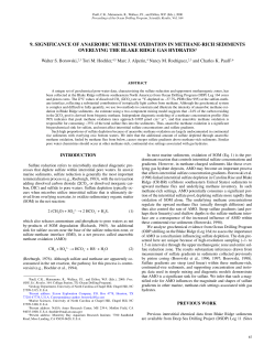 as a PDF
