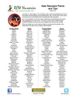 Deer Resistant Plants and Tips