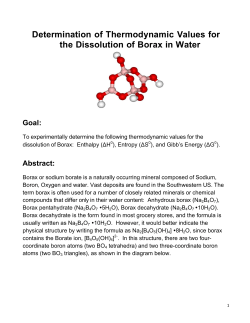 DissolutionBorax SUM14