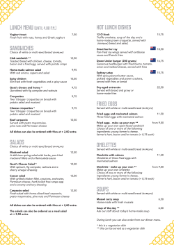 SANDWICHES SaladS HOT LUNCH DISHES FRIED