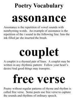 Poetry Vocabulary assonance