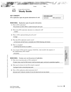 The process by which DNA is copied during the cell cycle nucleus S