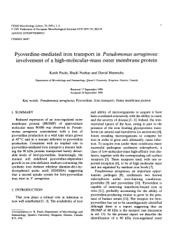 Pyoverdine-mediated iron transport in Pseudomonas aeruginosa