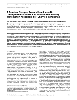 A Transient Receptor Potential Ion Channel in
