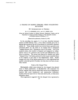 Nature of the Changed Virus