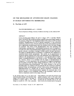 ON THE MECHANISM OF ATP-INDUCED SHAPE CHANGES IN