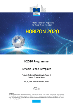 Periodic Report Template - European Commission