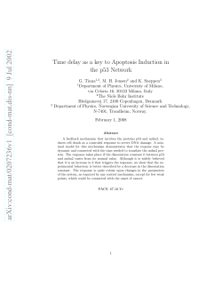 Time delay as a key to Apoptosis Induction in the p53 Network
