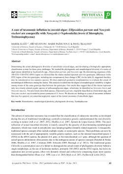 A case of taxonomic inflation in coccoid algae: Ellipsoidion parvum
