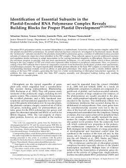 Identification of Essential Subunits in the Plastid