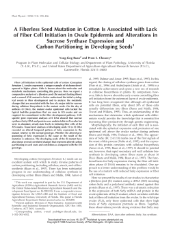 A Fiberless Seed Mutation in Cotton Is Associated